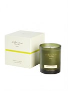 Аромат для дома Christian Tortu Jardin Citrus свеча ароматическая 190 gr 2176