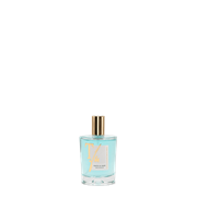 TEATRO FRAGRANZE UNICHE VENTO DI MARE спрей 100 ml 2835