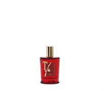 TEATRO XMAS спрей 100 ml 2878