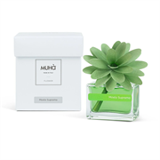 Muha MOSTO SUPREMO Диффузор 30 ml 3068