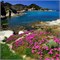 ACQUA DELL ELBA GIGLIO DELLE SABBIE диффузор 1000 мл 3276 - фото 10593
