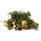 Christian Tortu Jardin Citrus жидкое мыло для рук и тела 500 ml 2436 - фото 7264