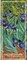 Culti IRISES Диффузор 500 ml IRISES Диффузор 500 ml снят с производства - фото 7727
