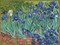 Culti IRISES Диффузор 500 ml IRISES Диффузор 500 ml снят с производства - фото 7728