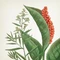 VILA HERMANOS APOTHECARY FRESH BASIL & RHUBARD Свеча 150 gr 2985