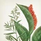 VILA HERMANOS APOTHECARY FRESH BASIL & RHUBARD спрей 100 ml 2987