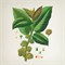 Аромат для дома VILA HERMANOS APOTHECARY BLACK FIG & NEROLI свеча 150 gr 2998 - фото 9613